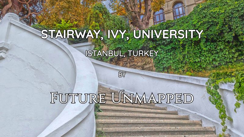 Wide, curving steps on hilly road - with recently-painted walls, tall trees, and dense ivy - leading to building of old, public university complex.