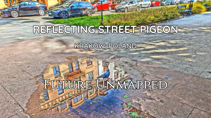 Pigeon ripples through leafy puddle on pedestrian zone - en route to meet friends at equestrian statue - disrupting skyline reflection of nearby buildings.