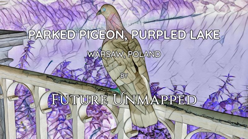 Pigeon sits on bridge railing - in major city park-and-palace complex - before accepting guest invite to join waterfowl family meeting in underpass below.
