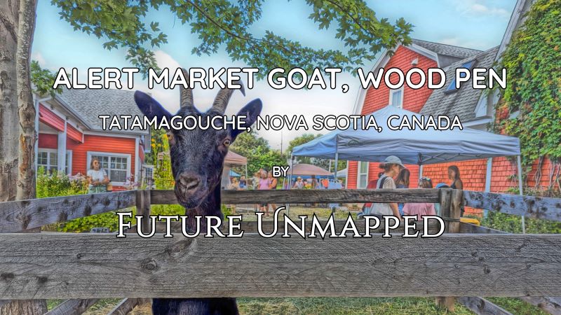 Friendly horned goat welcomes brief human distraction from pen patrol duty - while seeking next willing participant - as people amble around busy farmers market.